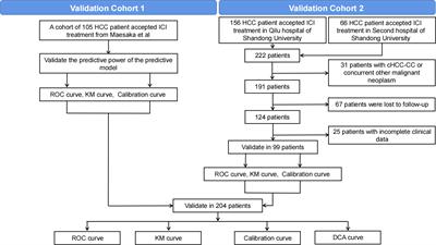 Development and validation of prognostic risk prediction models for hepatocellular carcinoma patients treated with immune checkpoint inhibitors based on a systematic review and meta-analysis of 47 cohorts